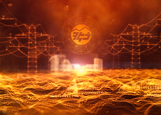 ELECTRIC NETWORKS